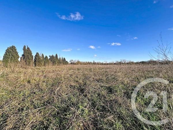 Terrain à vendre  14143 m2 VIAS - 34