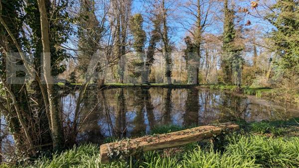 MAISON A FORT POTENTIEL – JOLI CADRE AVEC ETANG DE 1500m²