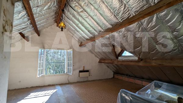 MAISON A FORT POTENTIEL – JOLI CADRE AVEC ETANG DE 1500m²