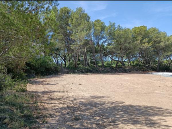 Lézignan-Corbières (11200) Quartier de la Pinède, superbe terrain constructible et viabilisé, libre de constructeur