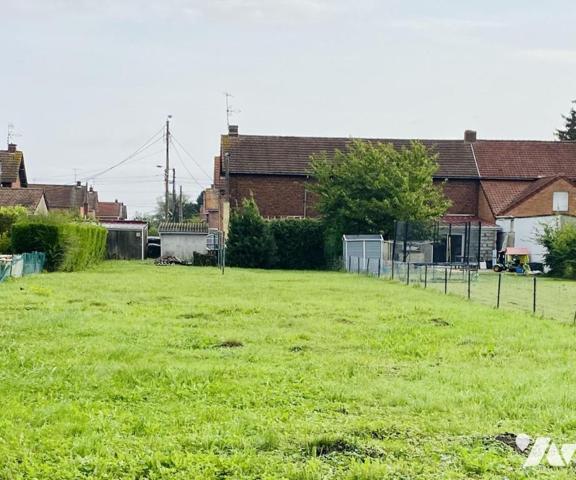 ✨EN EXCLUSIVITE ✨