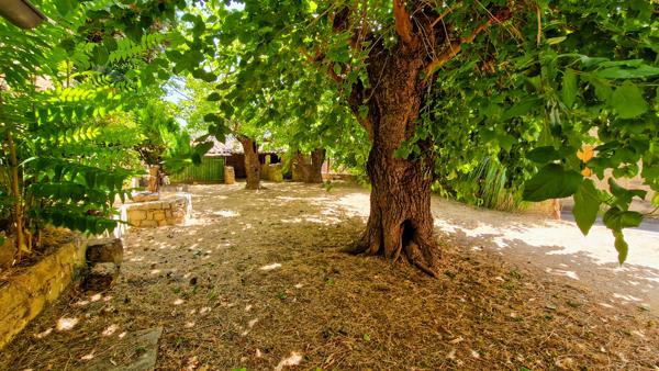A vendre à 6 km d'Uzès, authentique maison de village avec dépendances et jardin