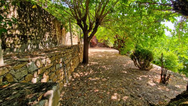 A vendre à 6 km d'Uzès, authentique maison de village avec dépendances et jardin
