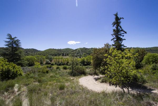 ALLEMAGNE EN PROVENCE - TERRAIN CONSTRUCTIBLE - 1900M² - PISCINABLE-EXPOSÉ SUD EST - NON VIABILISÉ - 130 000 