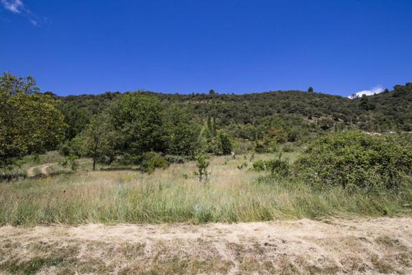 ALLEMAGNE EN PROVENCE - TERRAIN CONSTRUCTIBLE - 1900M² - PISCINABLE-EXPOSÉ SUD EST - NON VIABILISÉ - 130 000 
