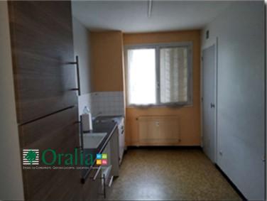 Appartement · Location Villeurbanne (69100) 2 pièces · 53m²