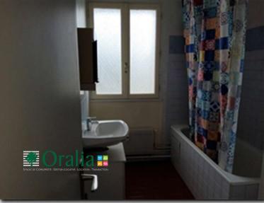 Appartement · Location Villeurbanne (69100) 2 pièces · 53m²