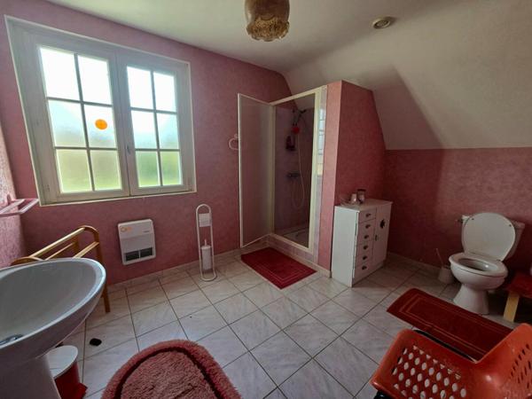 Maison Meaulne Vitray 6 pièce(s) 166 m2