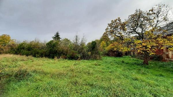 Maison à restaurer entièrement de 115 m² + dépendances. Sur terrain constructible de 1.26 hectares