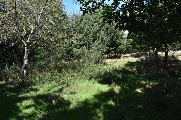 Fermette à restaurer