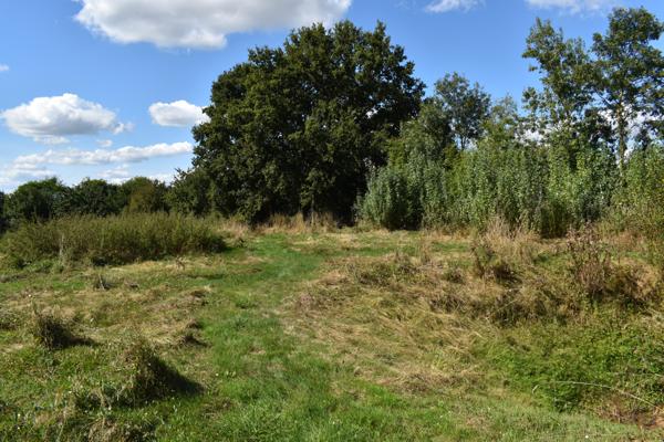 Fermette à restaurer