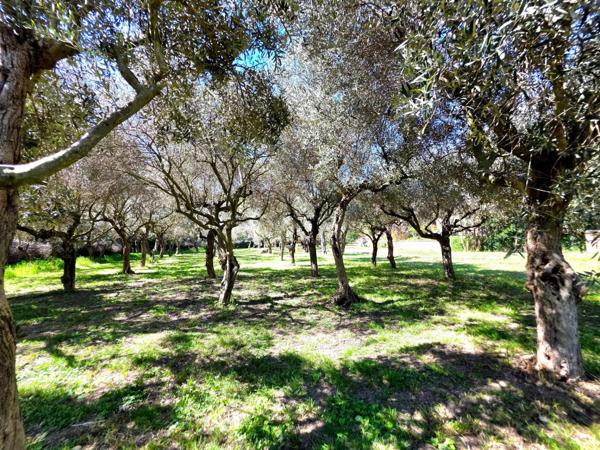 Villa d’exception de plain-pied – 200 m² sur 3 000 m² de terrain arboré