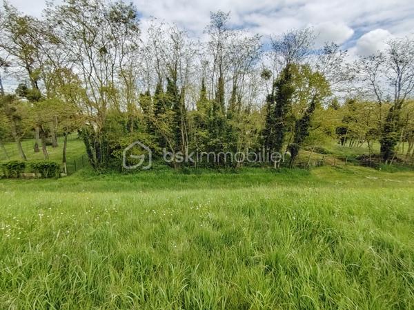 Terrain de loisirs de 2 091 m²