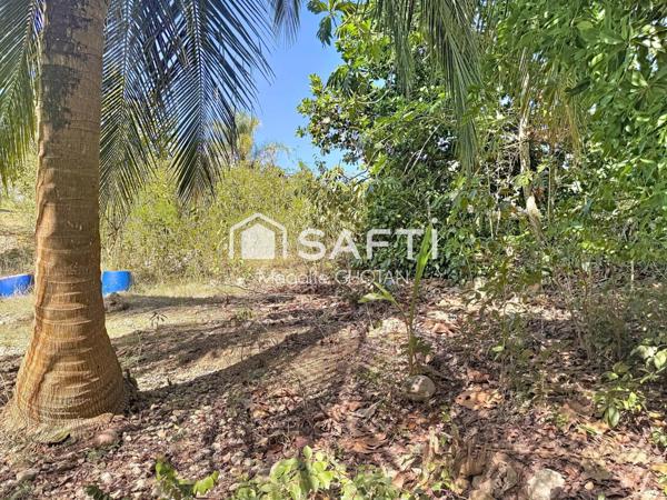 Terrain constructible de 800m2 au Moule