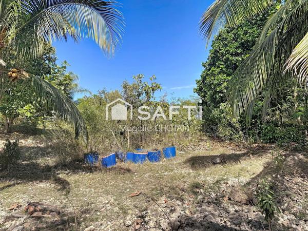 Terrain constructible de 800m2 au Moule