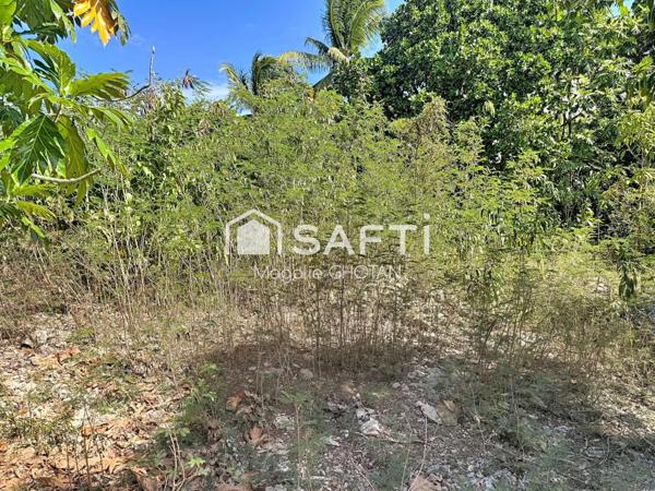 Terrain constructible de 800m2 au Moule