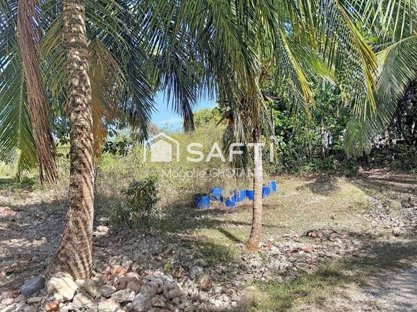 Terrain constructible de 800m2 au Moule