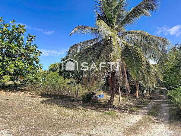 Terrain constructible de 800m2 au Moule
