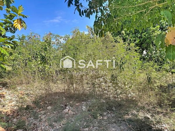 Terrain constructible de 800m2 au Moule