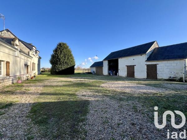 Longère 7 pièces de 225 m² à Chouzé-sur-Loire (37140)