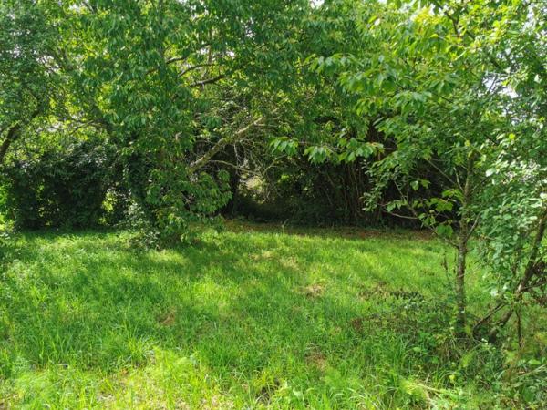 Terrain constructible centre ville