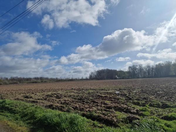 Vente Terrain 400 m2 à Fontenay-Trésigny