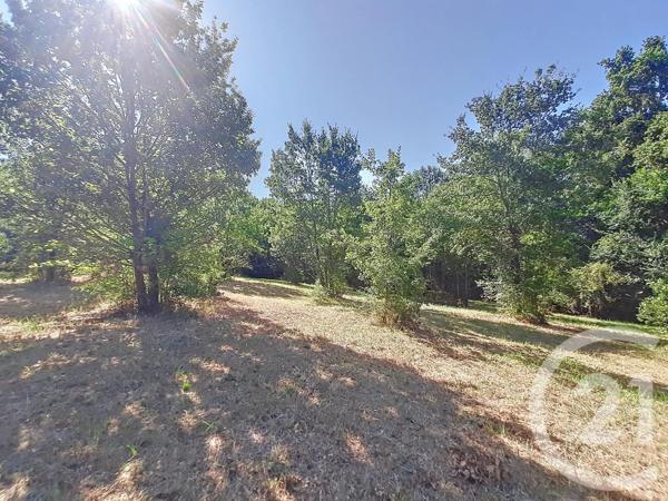 Terrain à vendre  6300 m 2   AUTERIVE  - 31