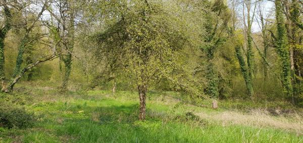 Fromentières (51210) BELLE MAISON AVEC PISCINE ET PARC BOISE