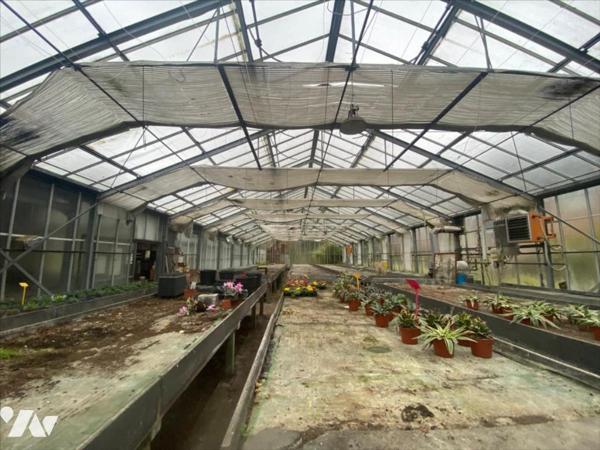 Propriété VEULES LES ROSES