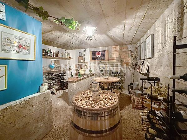 Grande Maison Familiale Individuelle avec 4 chambres Annexes sur grand Terrain - 69500 BRON