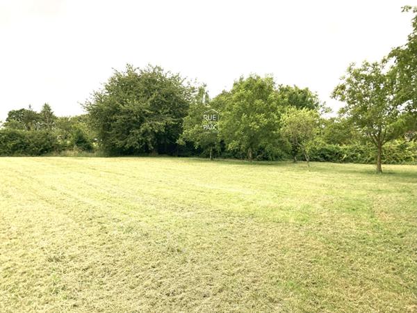 37120 MARIGNY MARMANDE Maison Marigny Marmande 5 pièce(s) 131.63 m2