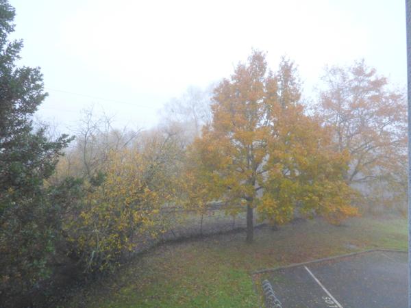 SAINT NICOLAS DE REDON