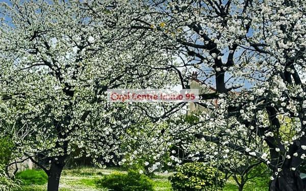 Maison à vendre    7 pièces • 183 m2 Argenteuil