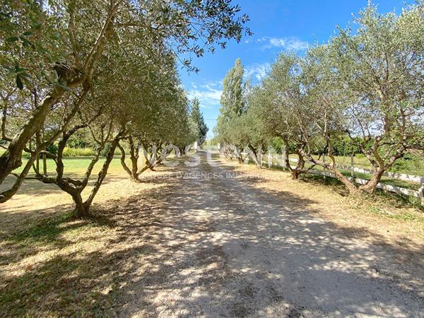 Maison de caractere en campagne avec grand terrain ? Beaucaire