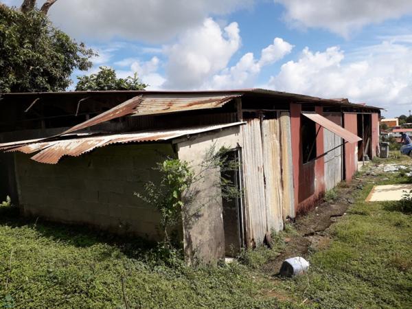 Terrain de 1200m² situé au Morne-Des-Esses