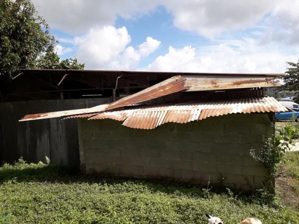 Terrain de 1200m² situé au Morne-Des-Esses