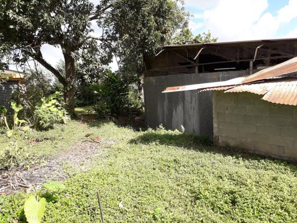Terrain de 1200m² situé au Morne-Des-Esses