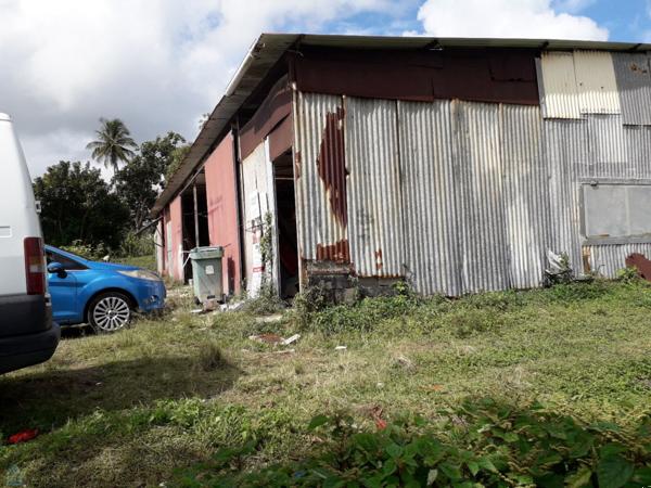 Terrain de 1200m² situé au Morne-Des-Esses