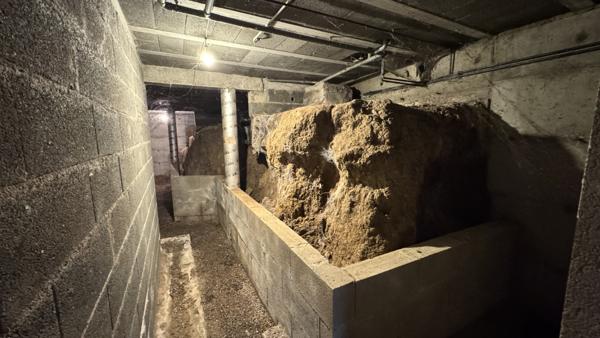 L'Étrat (42580) Maison de 150m2 environ sur 726m2 de terrain