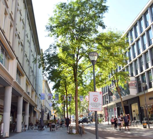 Appartement à vendre 5 pièces MULHOUSE (68)