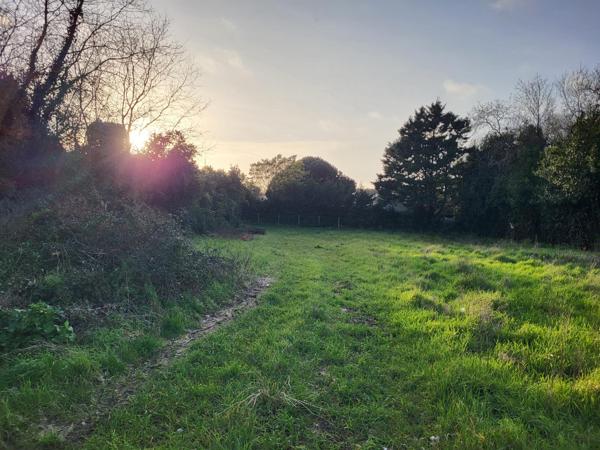 Terrain constructible de 768m²