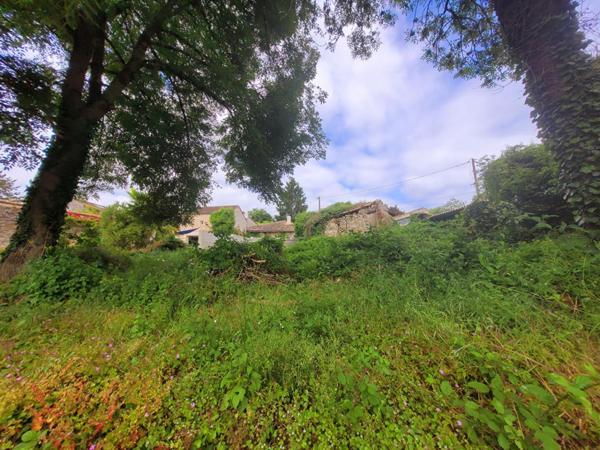 SOYAUX (16800) : Terrain constructible de 571m2 + ruine en pierre