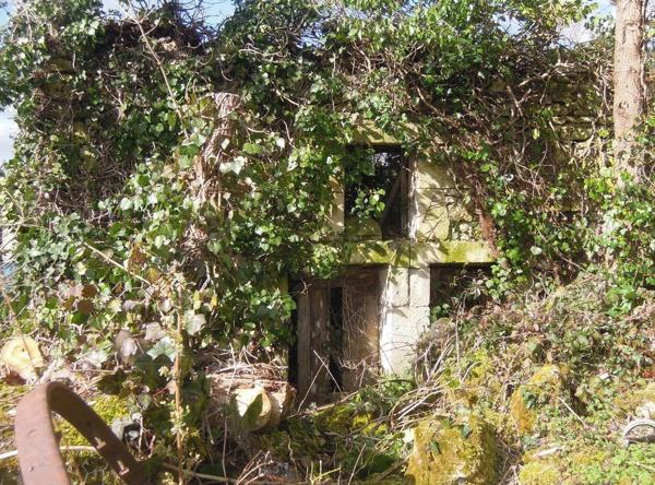 SOYAUX (16800) : Terrain constructible de 571m2 + ruine en pierre