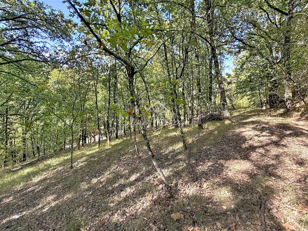 Villa T2 au calme sans vis à vis avec 3 500 m2 terrain !