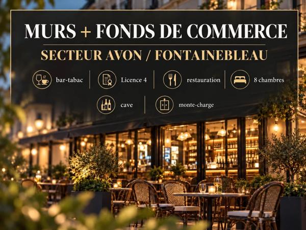 Vente                                                      Fonds de commerce
                        
                     10 pièces                      273 m2                     à Fontainebleau