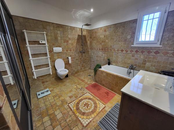 Maison 115m2 et sa dépendance de presque 55m2 à l'isle-sur-la-sorgue