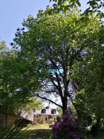 Belle longère avec une piscine, un beau terrain, et une dépendance.