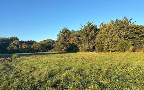 Terrain à vendre    Dolus-d'Oléron