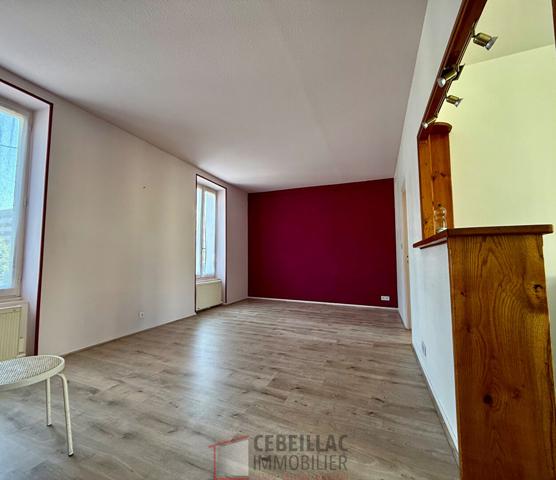T3 lumineux avec parking et cave - Proche CHU ESTAING