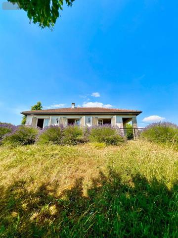 Achat - Maison | Maison de ville Palluau-sur-Indre 36500 4 pièces 80 m 2 3251 m 2